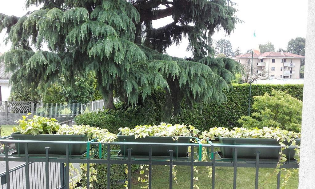 Affittacamere Giudici Lentate sul Seveso Dış mekan fotoğraf